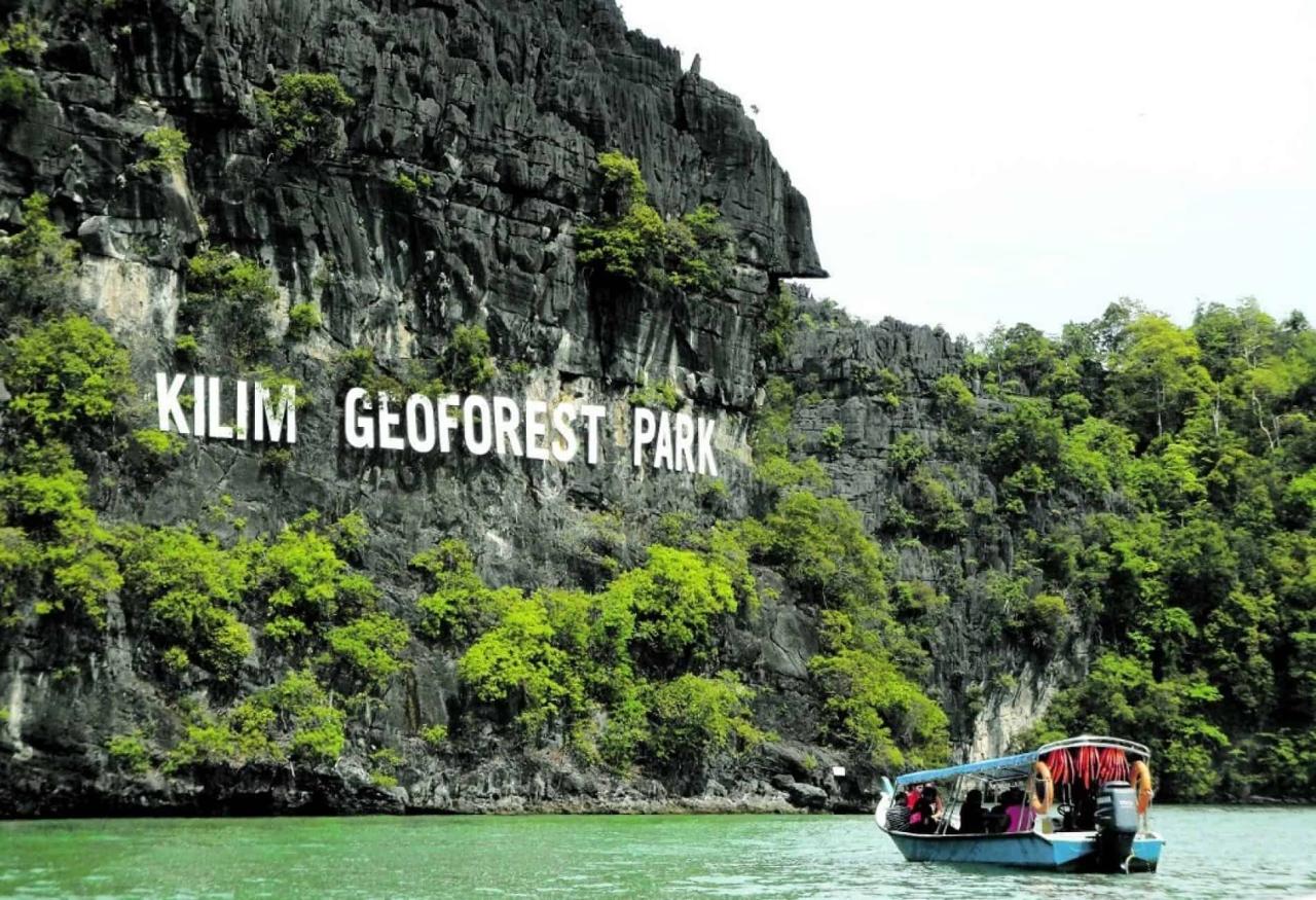 Mangrove tour langkawi